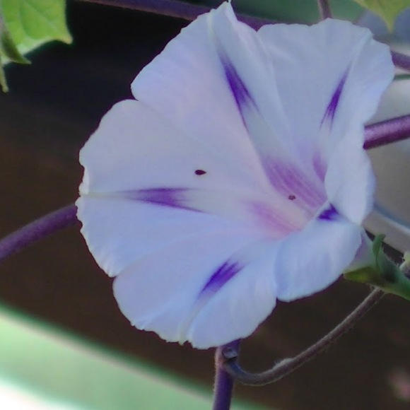 Meet your Posher, Sagarika - Picture 1 of 1